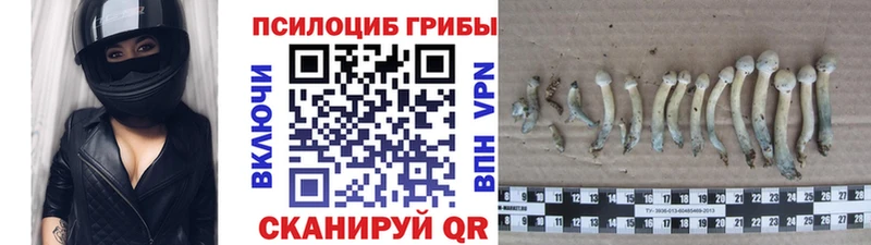 Галлюциногенные грибы GOLDEN TEACHER  Новоалтайск 